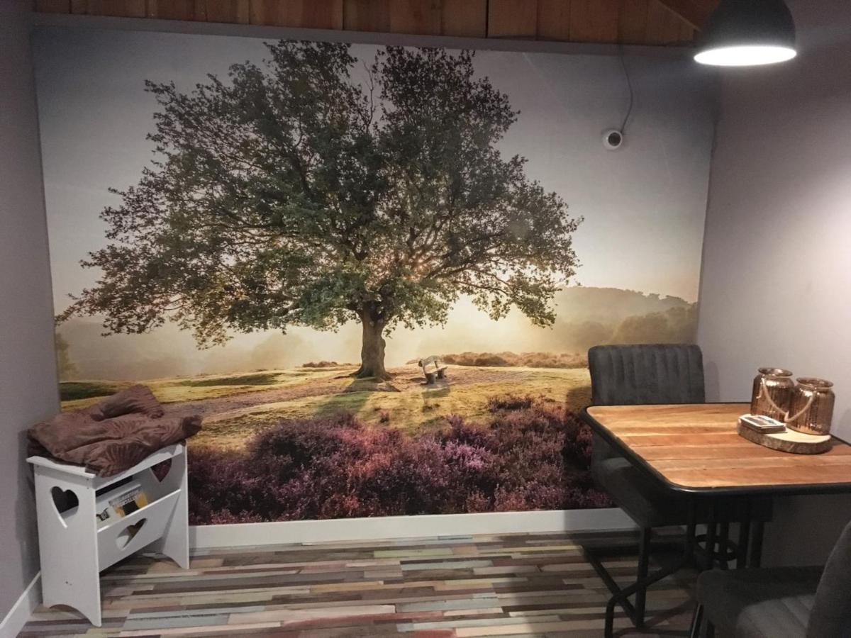 Veluwse Bos En Heide Studio Otterlo Zewnętrze zdjęcie